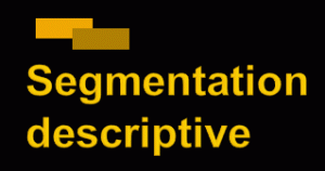 Segmentation descriptive